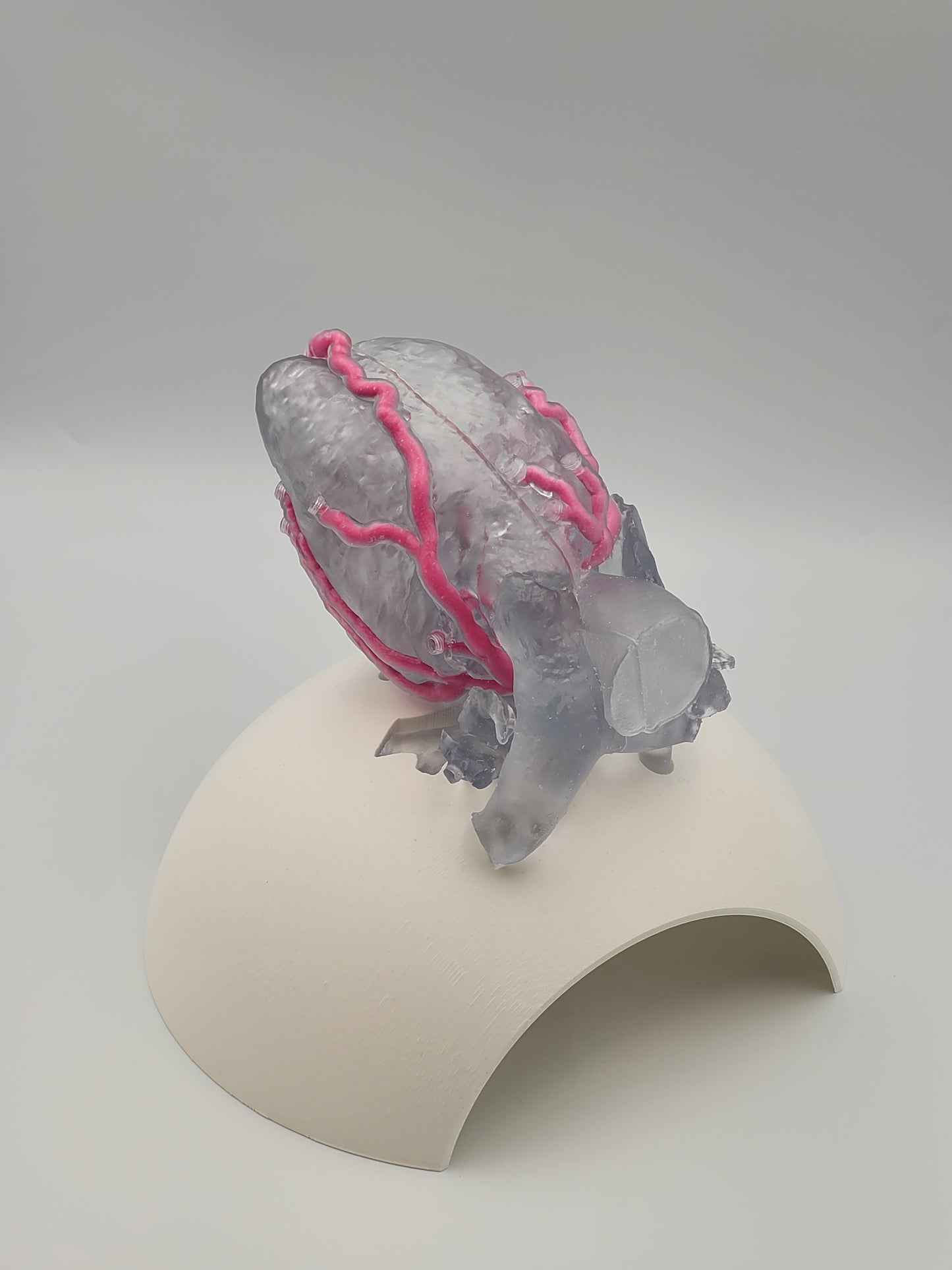 Khawaja Radiopaque Coronary Artery Model