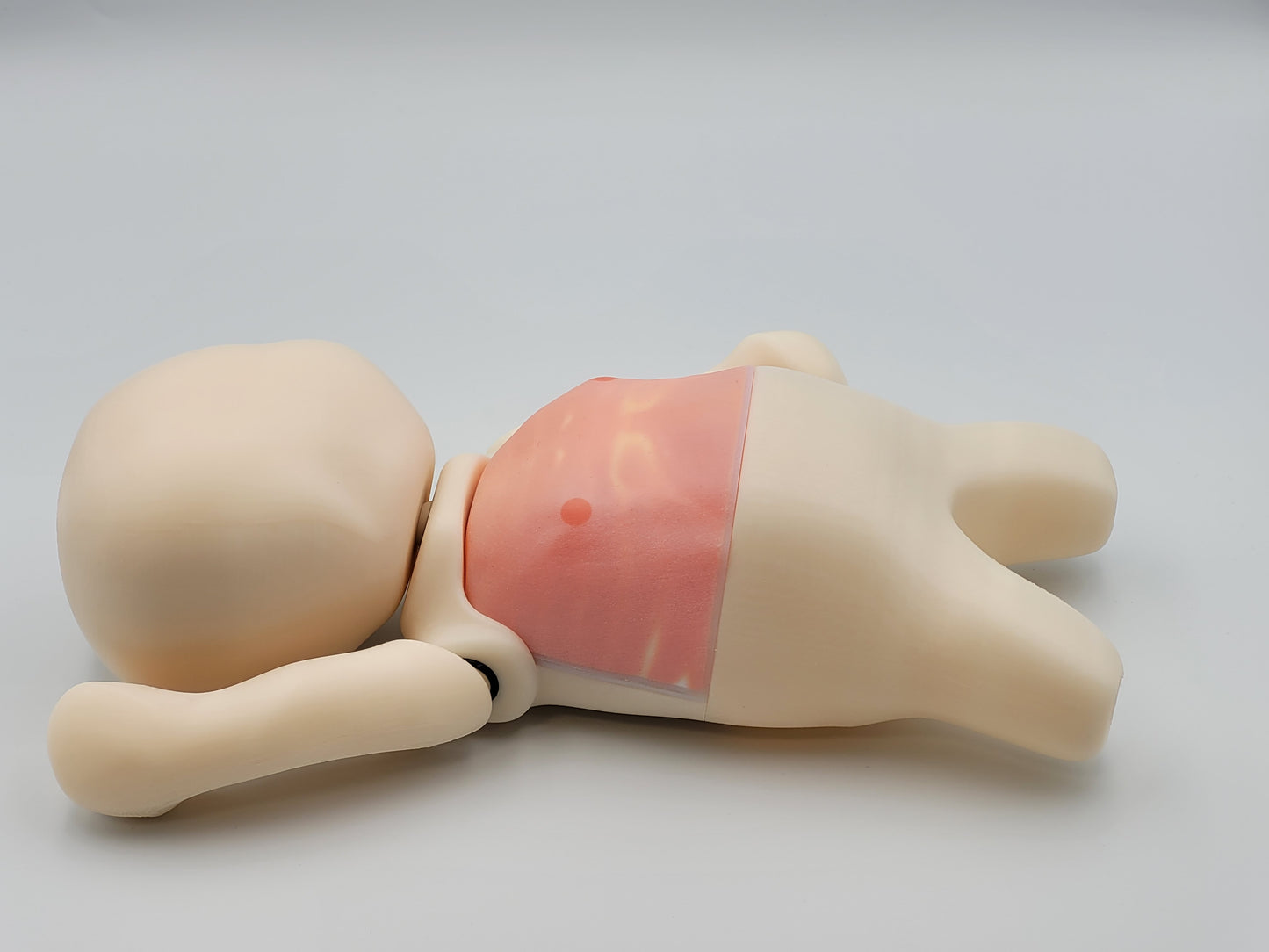 Neonatal Thoracentesis Task Trainer